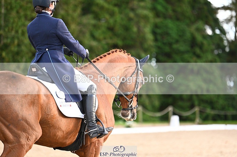 231021-161042-21043 - 264-BEST.ENDEAVOUR-Freddie.Taylor-DR