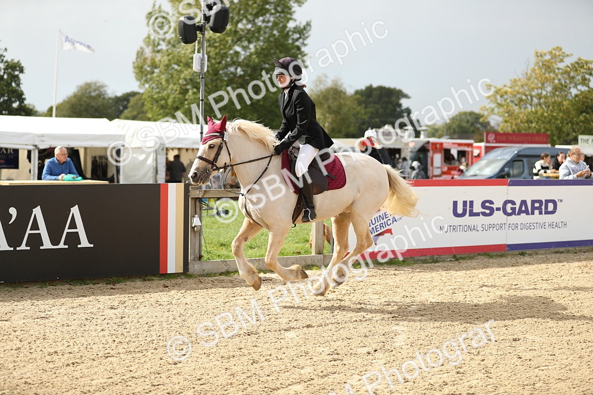SBM_08961 - J30 - Senior Horse & Pony 70cm Championship