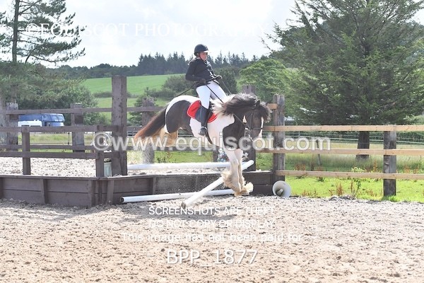 BPP_1877 - DERBY CLASS 5 - 60CM