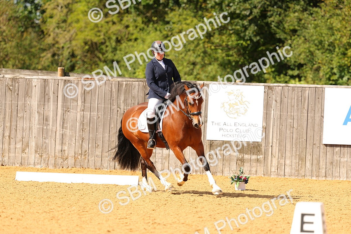 SBM_40835 - D18 - Grand Tour Championship - Novice 34