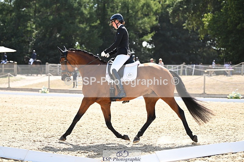 250808A-155602-01956 - 001-Ellen.GloverAmazing.Lady.Texel.MFS