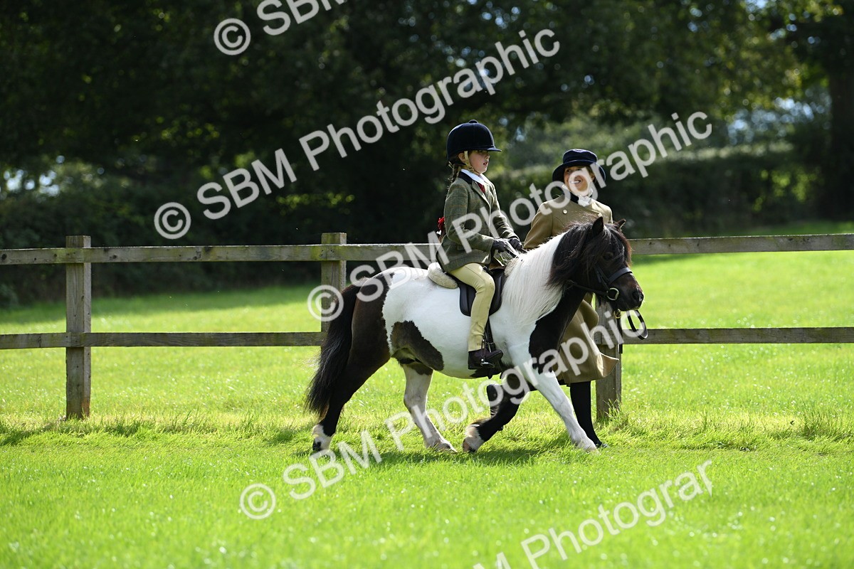 SBM_42515 - S20 - Lead Rein Mountain & Moorland Pony