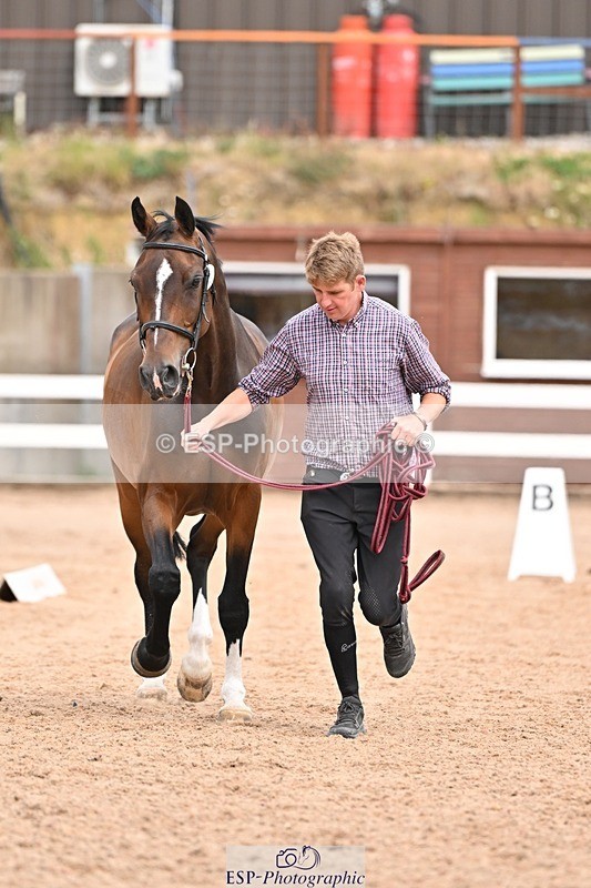250716-154145-02129 - Trot Up 3.30 to 4.30