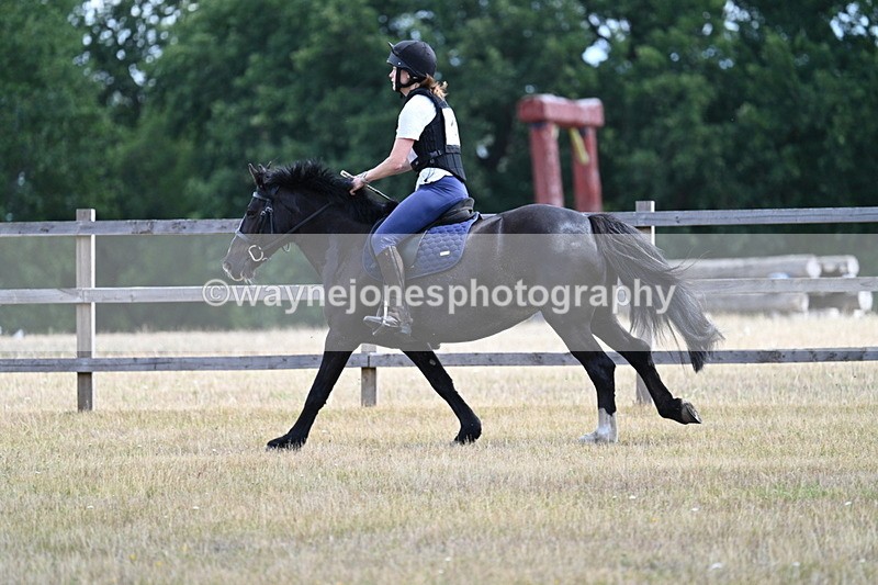 WJ7_0734 - 60cm Time 12:26 to 12:46