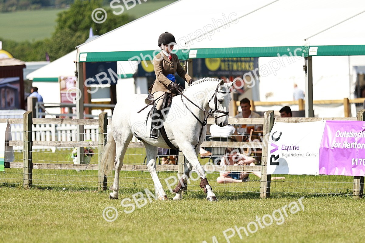 SBM_18514 - Class 112-113 - BSPS LIHS Working Sports Pony