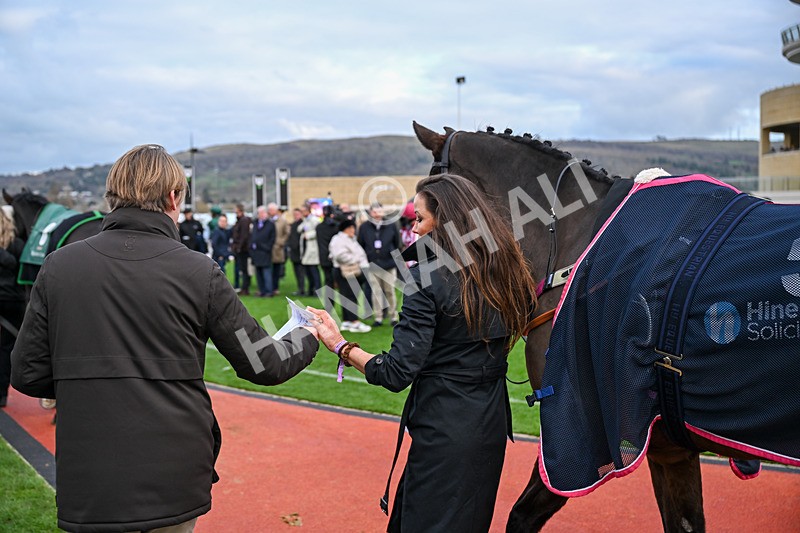 161125-Race 3-Cabhfuilfungi-5787 - Race 3