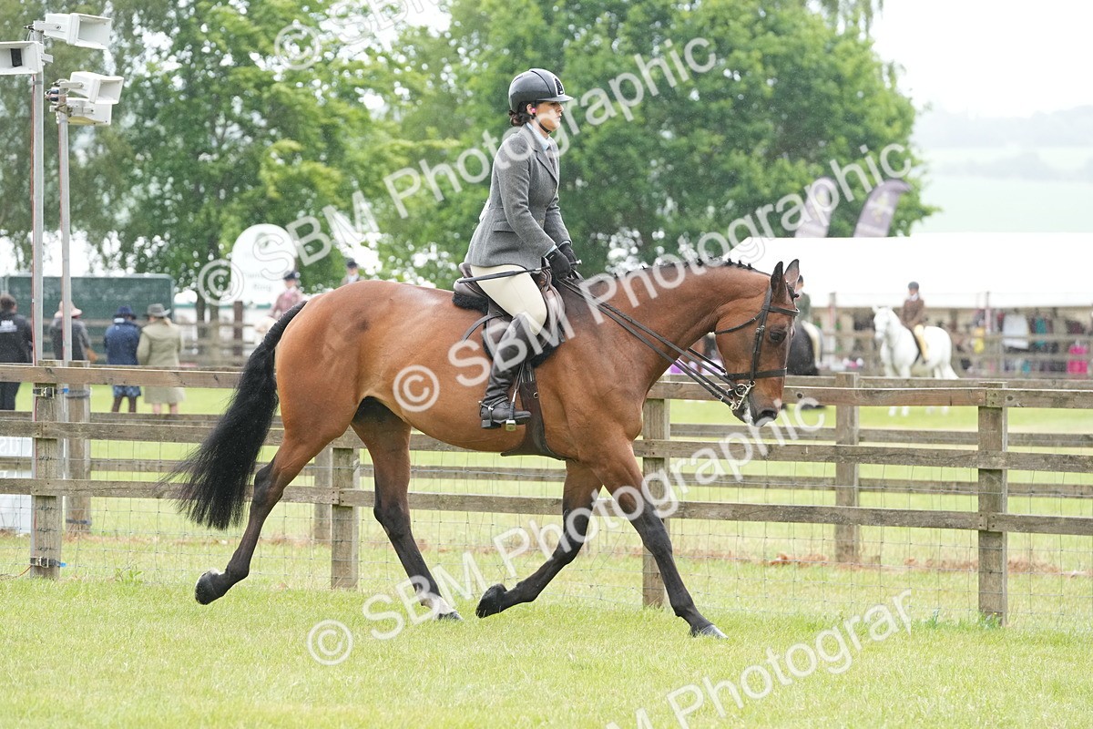 SBM_12650 - Class 97-98 - LIHS BSHA Rising Star Working Show Horse Hunter