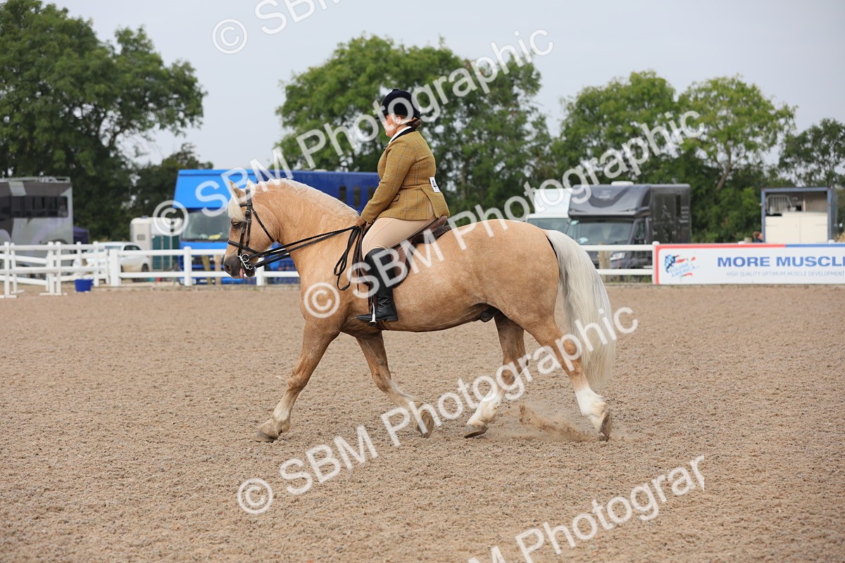 SBM_10031 - Class 302 Ridden M&M -Large Breeds