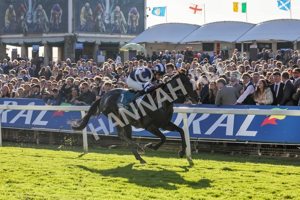 141023-Race 5-Certain Lad-0543 - Race 5 3.35pm Coral Racing Bet Bundles Handicap