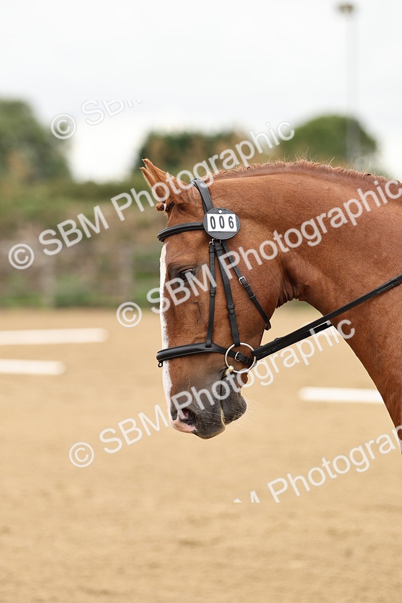 SBM_002168 - Prelim 1