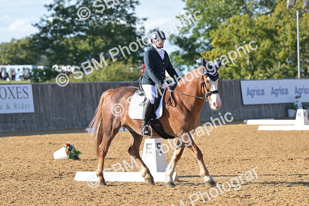 SBM_12993 - D3 - Small Tour Championship Intro 3