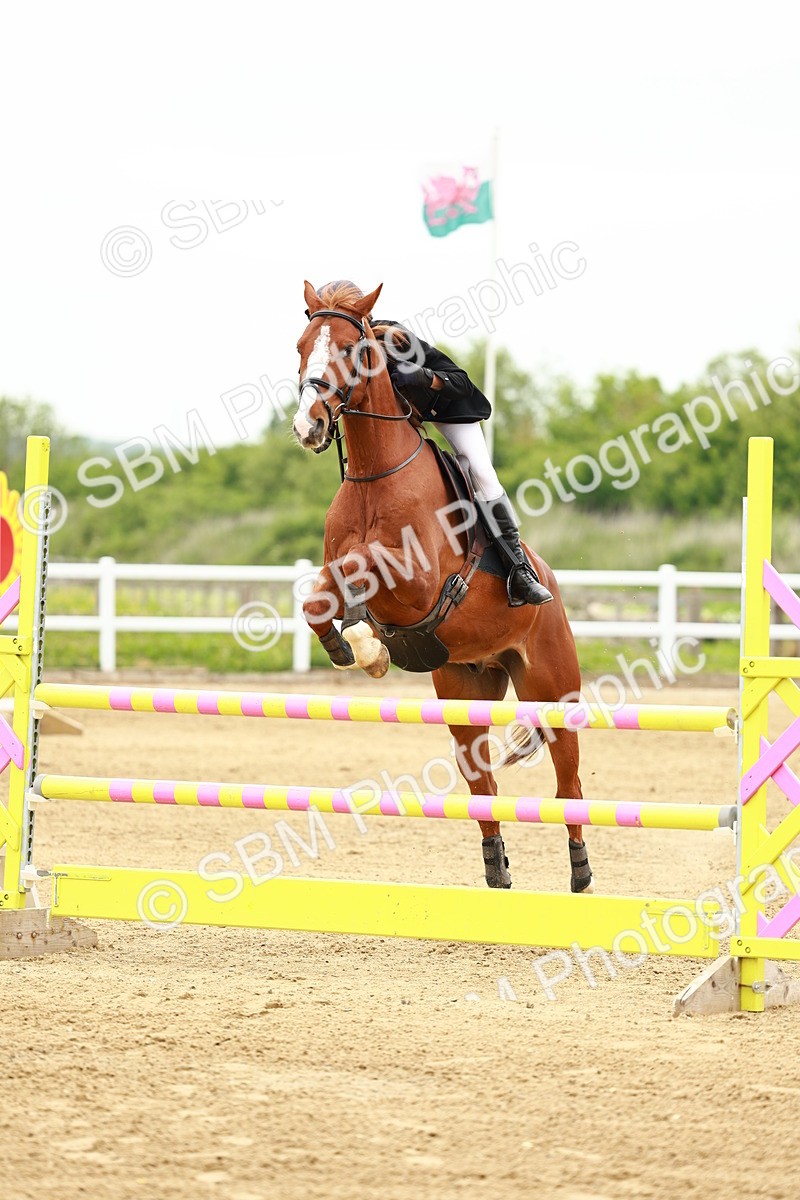 SBM_000634 - Class 3 - Senior Discovery - 1.00m