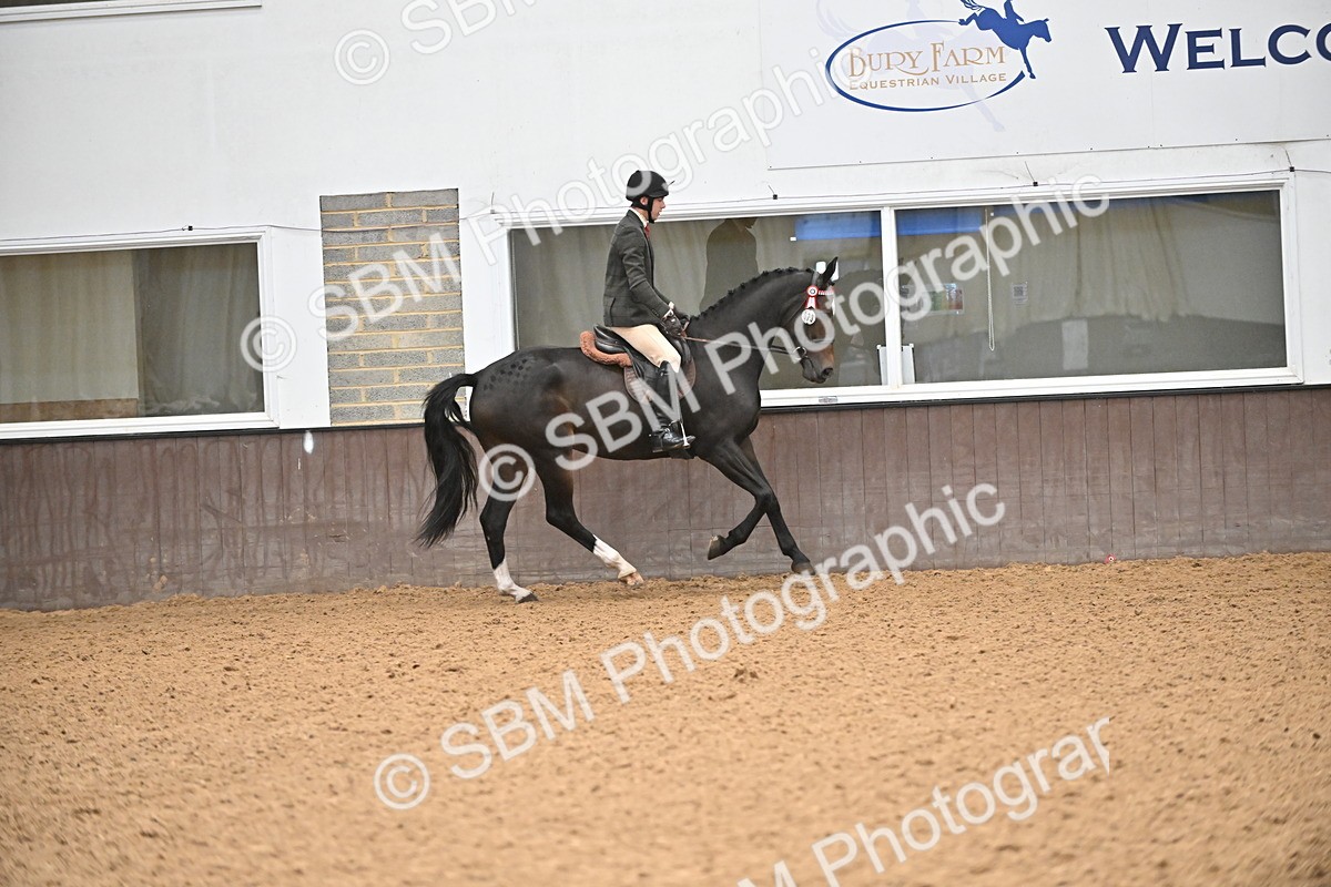 SBM_001454 - Class 19,20 - Ridden Native, Foreign Breeds & Warmbloods