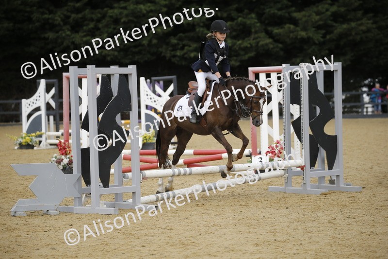 20250622-3703 - 50cm