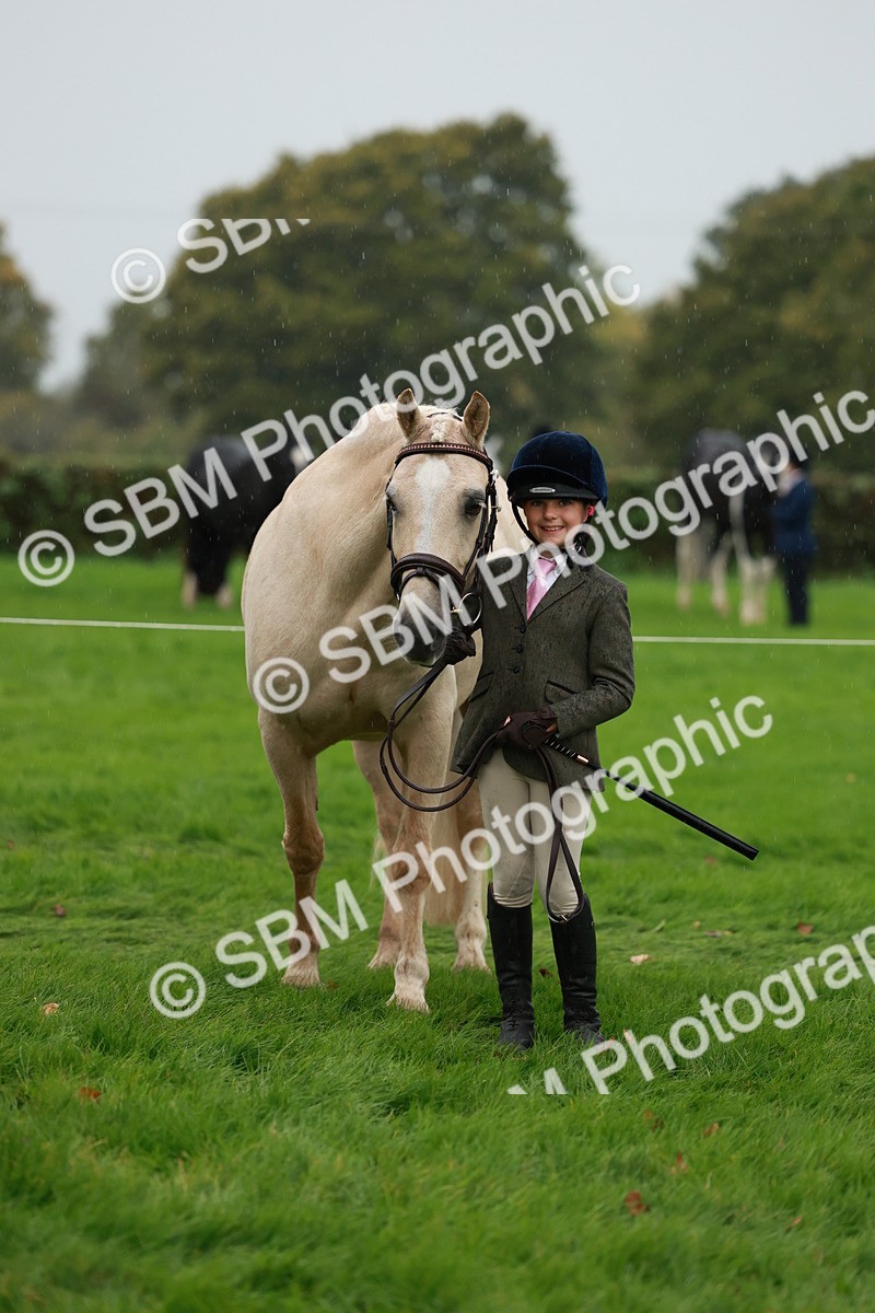 SBM_34905 - S10 - Best In Hand Horse & Pony