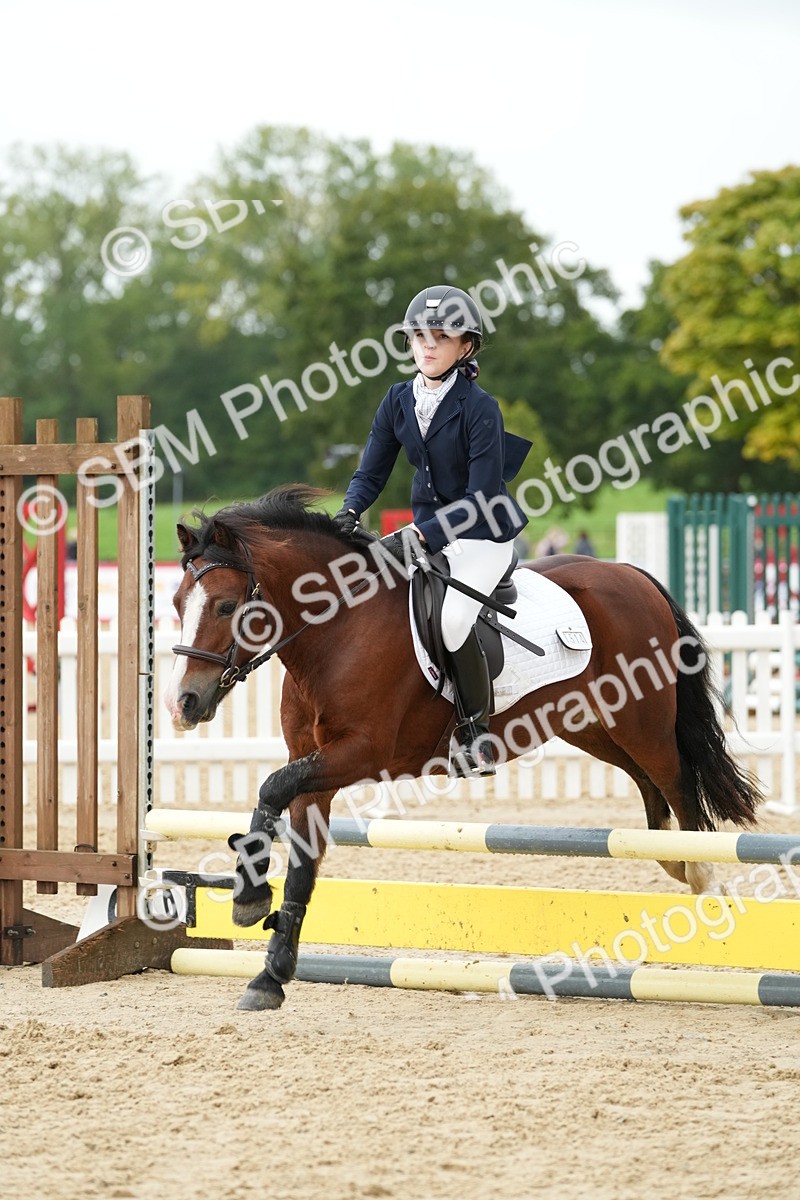 SBM_33448 - J5 - Junior Pony 50cm Championship