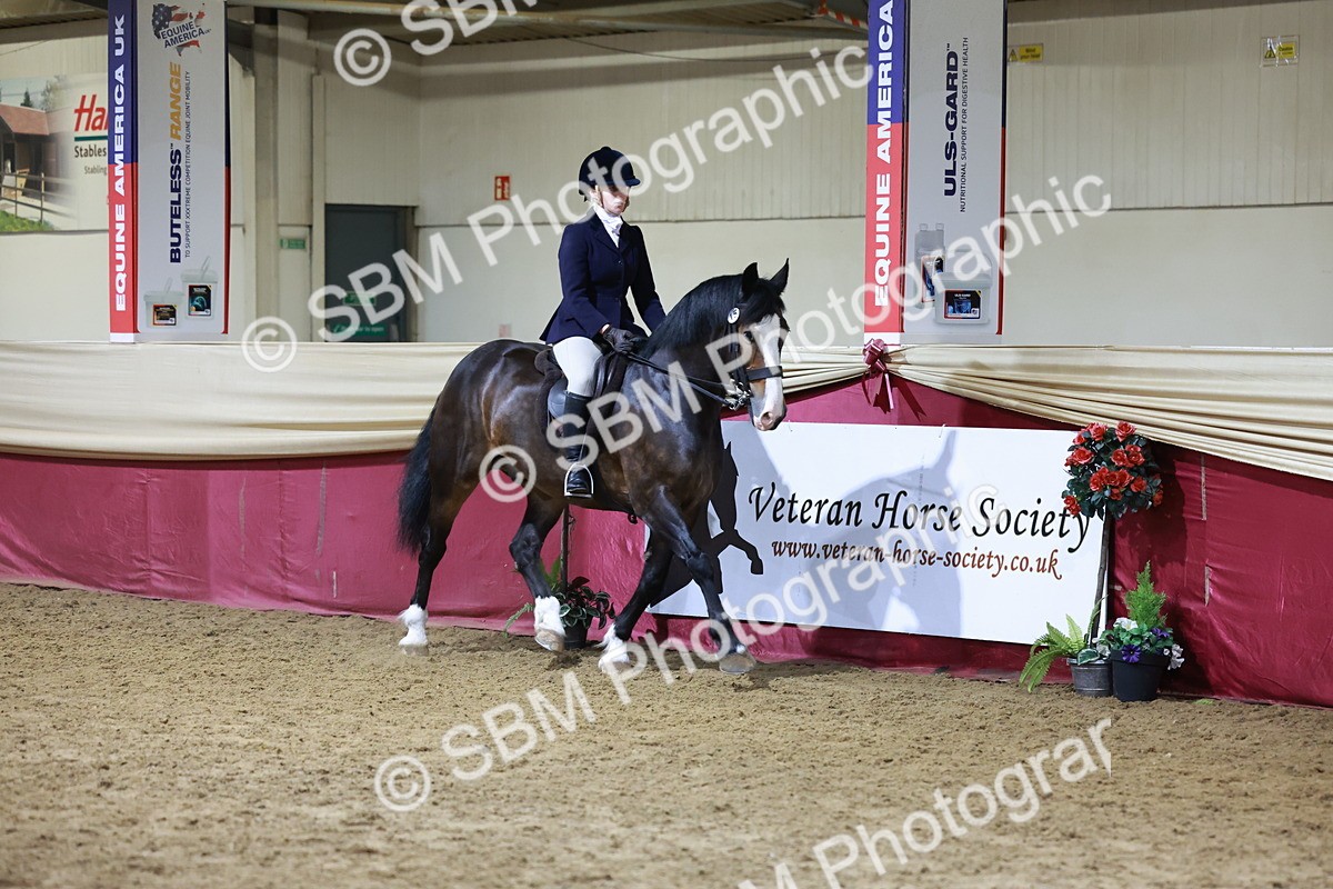 SBM_21339 - Class T - Working Veteran Champs