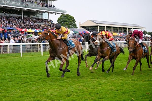 150624-Race 6-Pisanello-8006 - Race 6 4.45pm Ice Co Supporting Macmillan Handicap