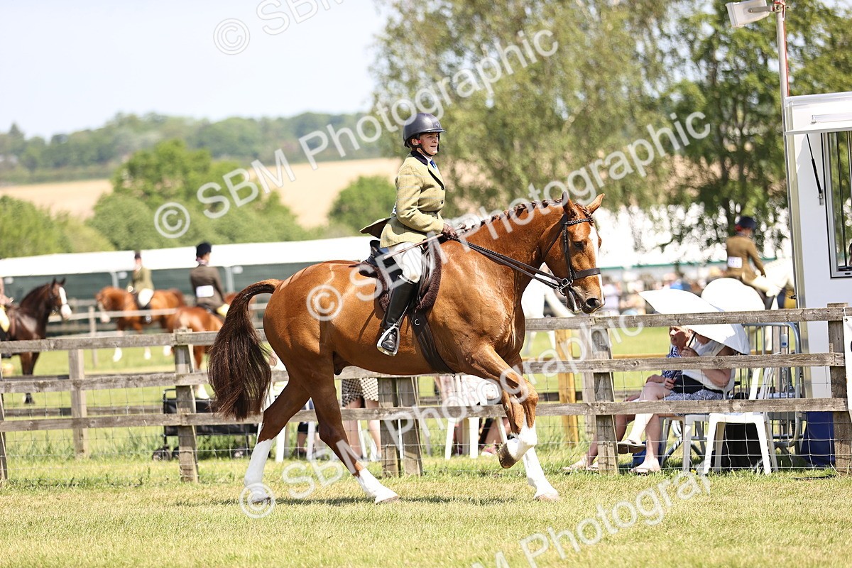 SBM_15068 - Class 79-80 - LIHS BSHA Rising Star Ridden Hunter