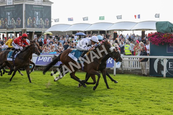 240823-Race 6-Gushing Gold-5477 - Race 6 4.45pm Or8Wellness EBF Stallions Nursery Handicap