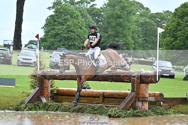 240526-134512-23072 - 443-FIGARO_DES_PREMICES-Alexander_Peternell