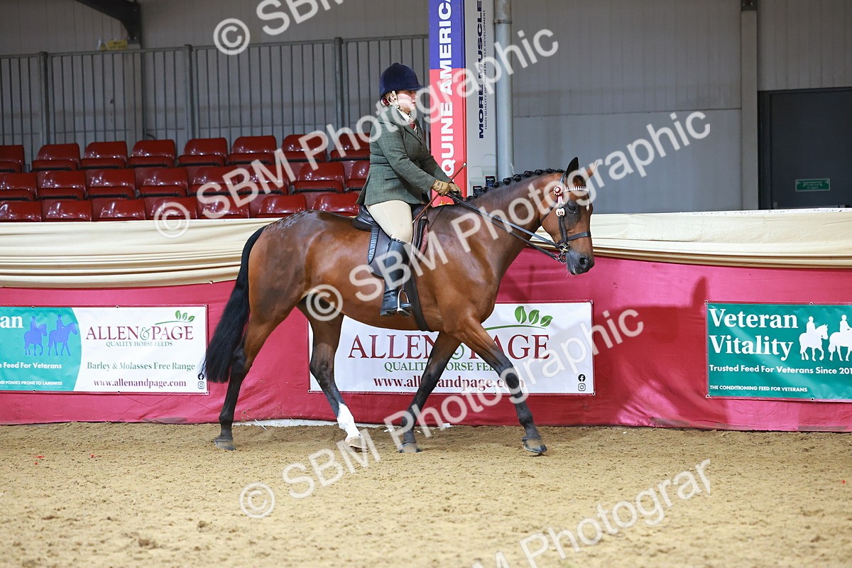SBM_10501 - Class 103 - HOYS Veteran Qualifier - Ridden Pre Vet