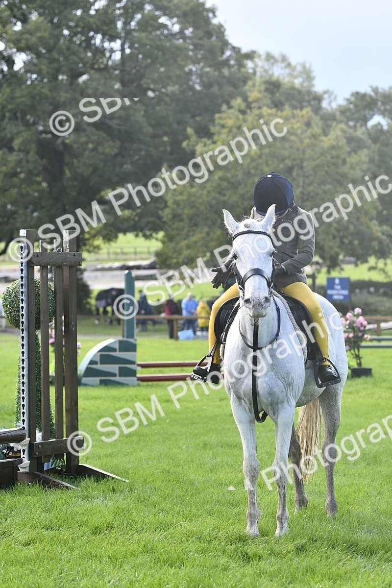 SBM_37215 - S31 - Novice & Newcomer Working Hunter Pony