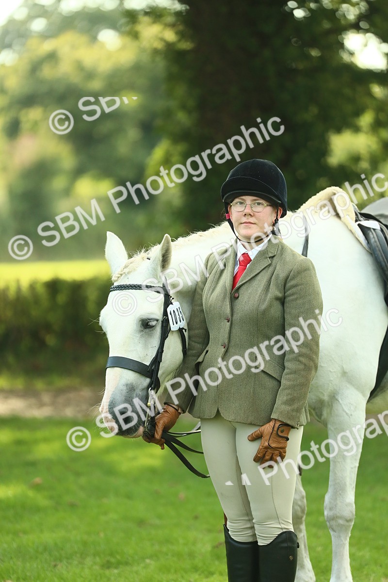 SBM_52145 - S33 - Working Hunter & Working Show Horse