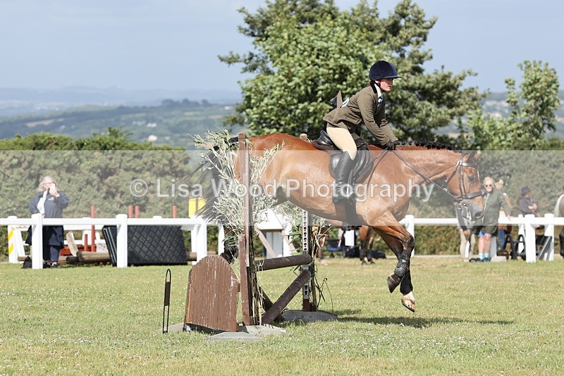 JPP_2623 - Class 20: Working Hunter 70cm