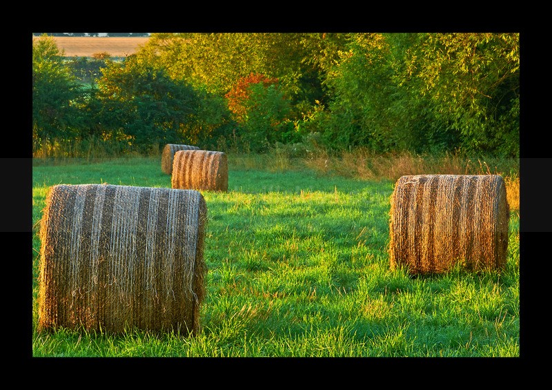  - Land