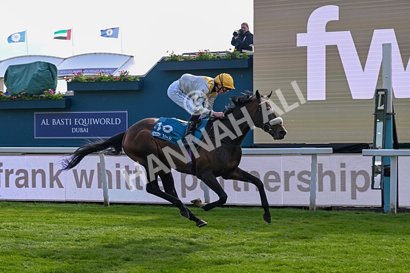140526-Race 7-Arc Ole Ole-6037 - Race 7 5.15pm Frank Whittle Partnership Handicap