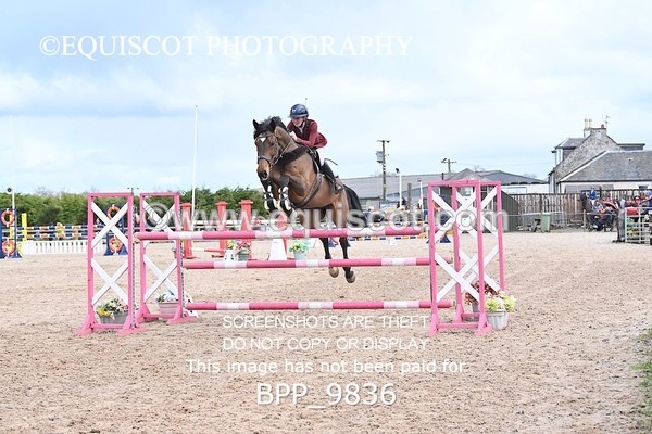 BPP_9836 - CLASS 18 SUN Ron Brady SporthorsesRHS