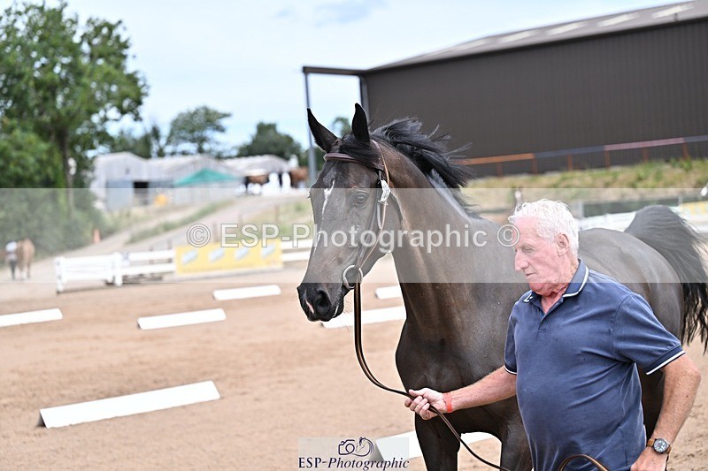 250716-130702-00342 - Trot Up 12.30 to 1.30