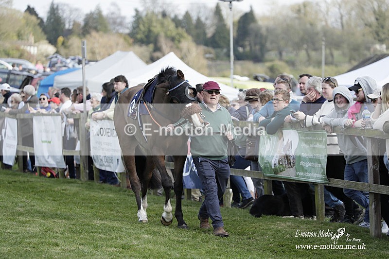 PtP 080423 471 - Dingley Races The Woodland Pytchley Hunt PtP 08/04/23