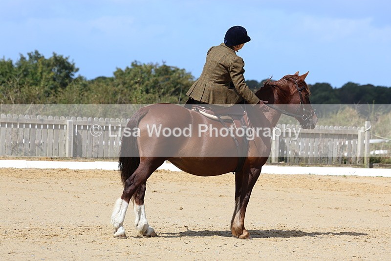 3E7A3614 - Class 7:  Preliminary Music