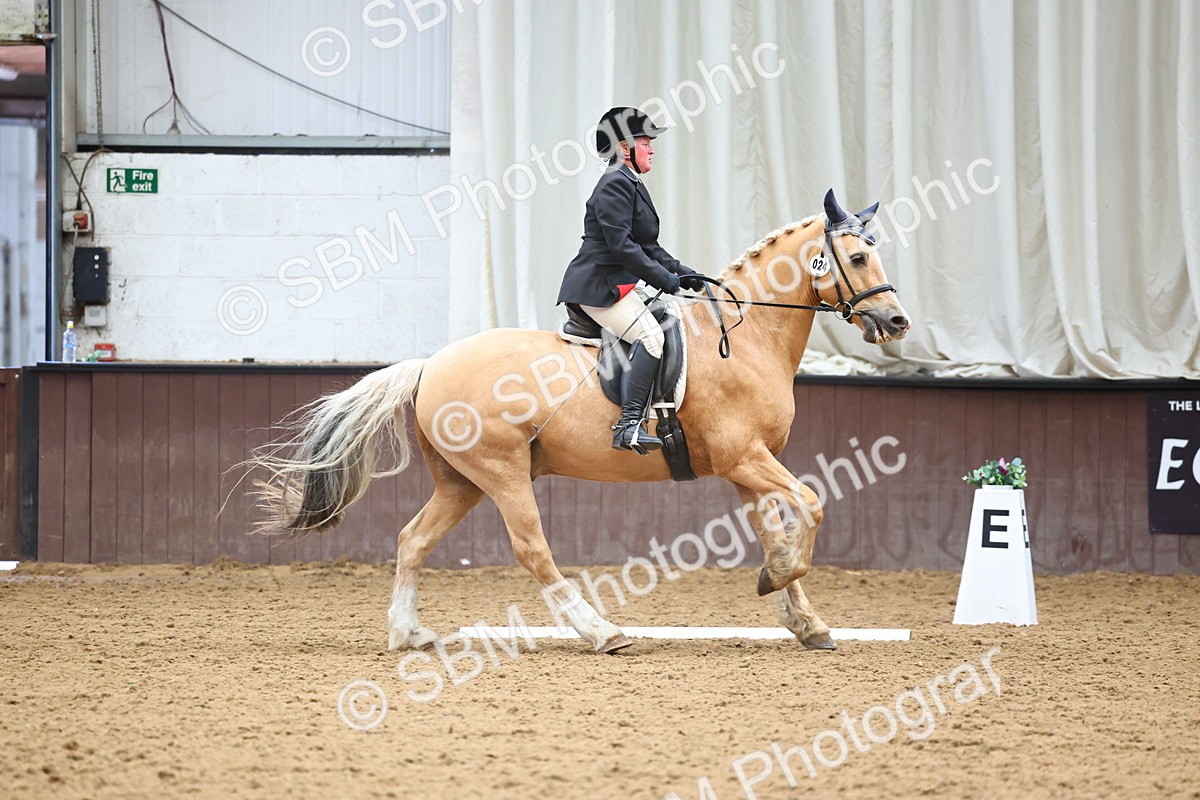 SBM_005399 - Class 3 - Novice 5