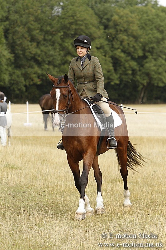 _BS_0669 - BVRC Show 2018 Ring 3