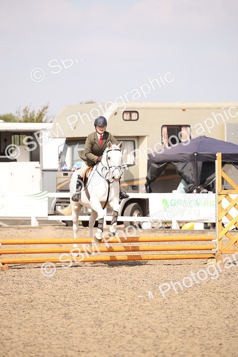 SBM_14168 - Class 407a - Working Veteran 60cm (15-19