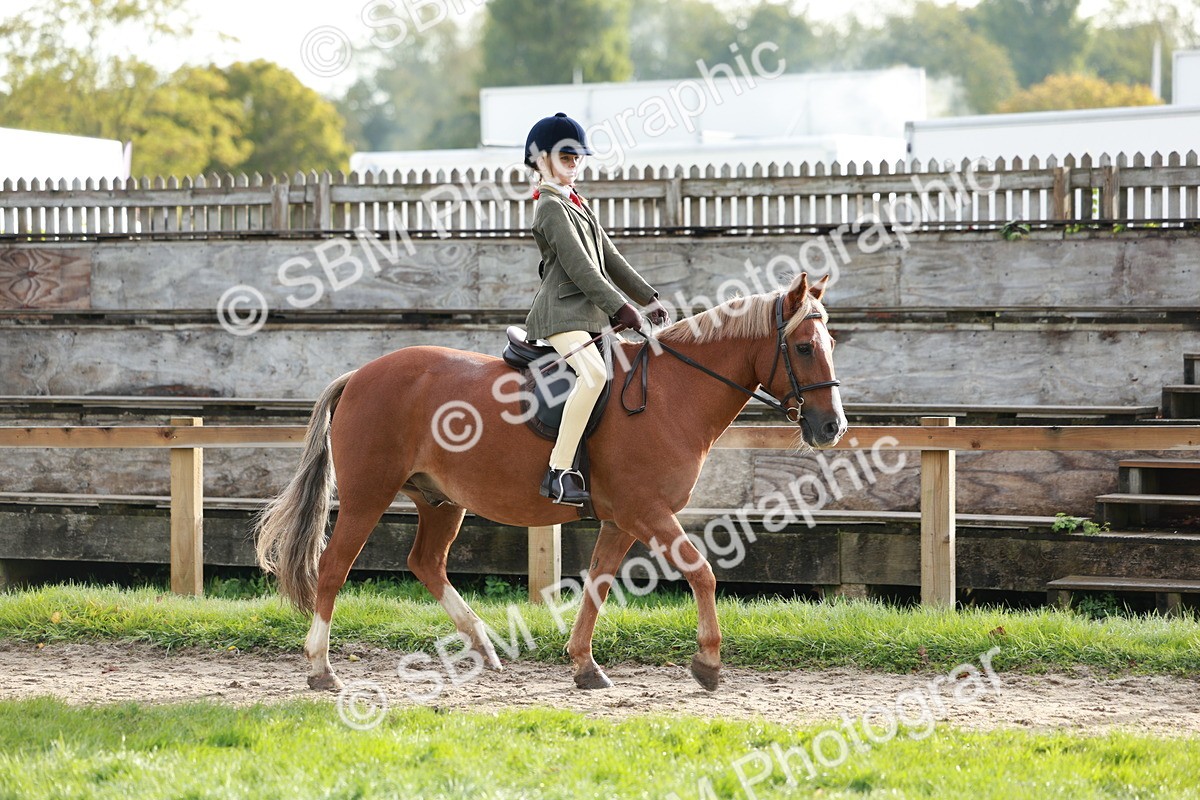 SBM_56366 - S39 - Starters In Hand Showing