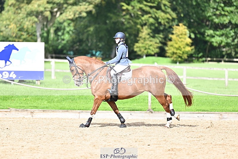 251005A-140011-04246 - Cls 09 Nov 80-85cm