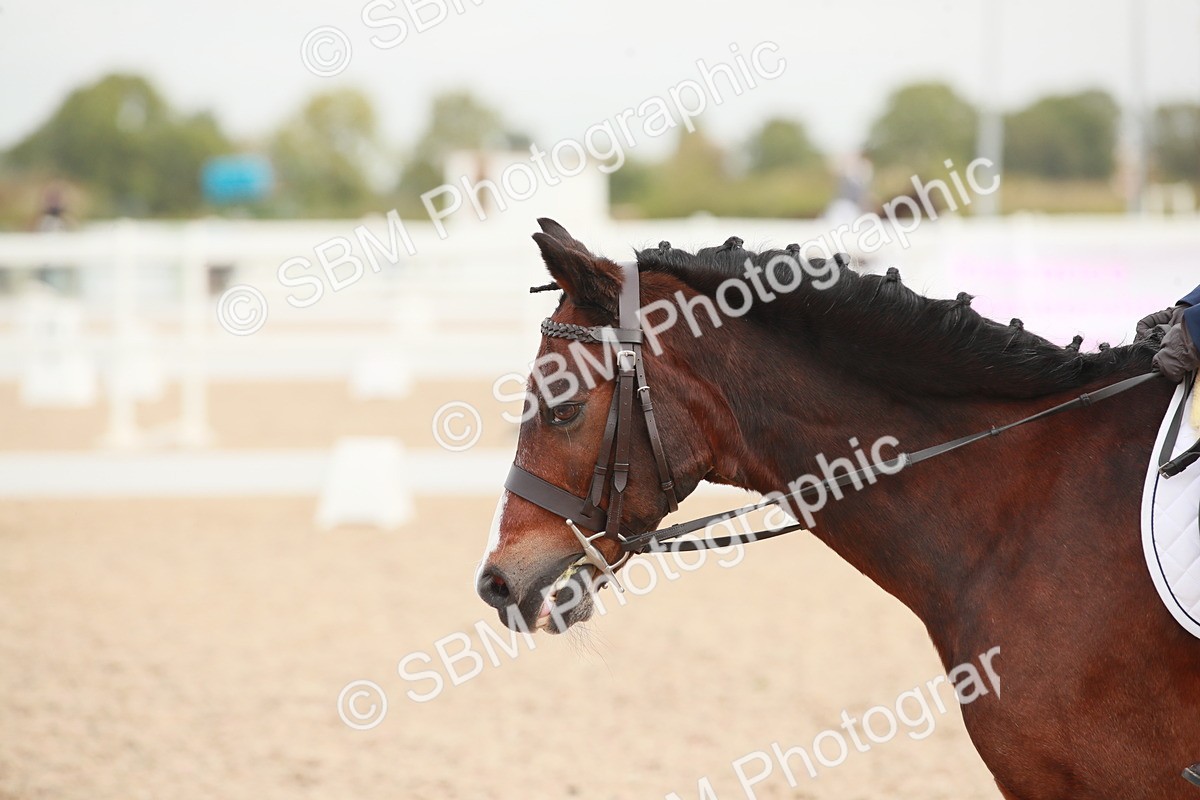 SBM_02528 - Class 30 - Intro 1