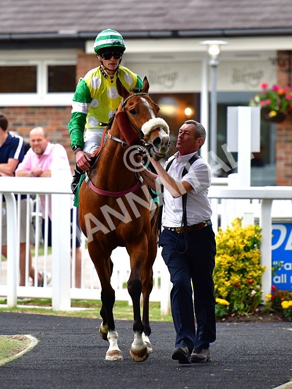 170625-Race 6-Kings Crown-4210 - Race 6