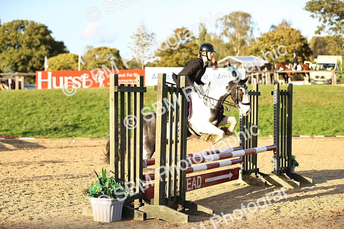 SBM_54312 - Supreme Championship 70cm 75cm
