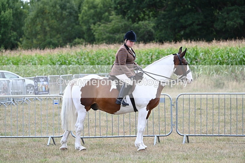 WJ7_5331 - Class 12 Ridden Cob