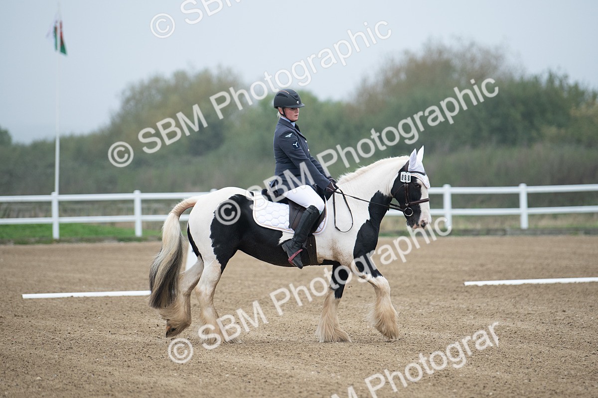 SBM_003367 - Introductory Test 3