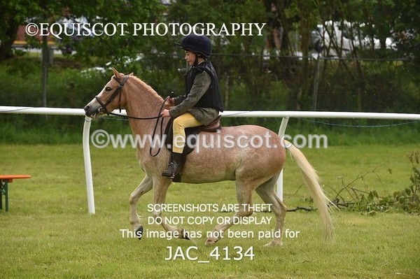 JAC_4134 - 40CM WORKING HUNTER