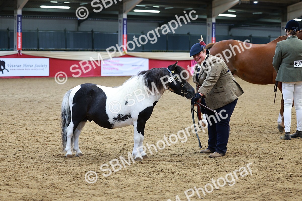 SBM_04350 - Class 9R - IH Pre-Vet