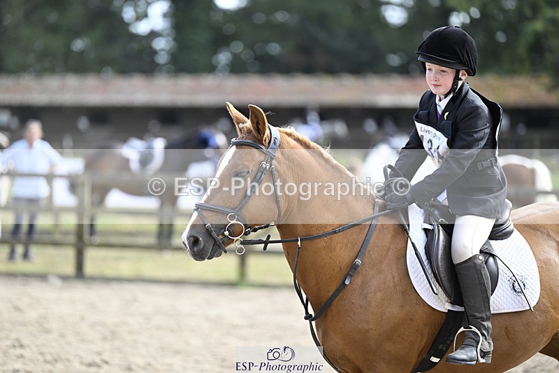 240823X-161125-19083 - 70cm R2 15.20 to 16.40