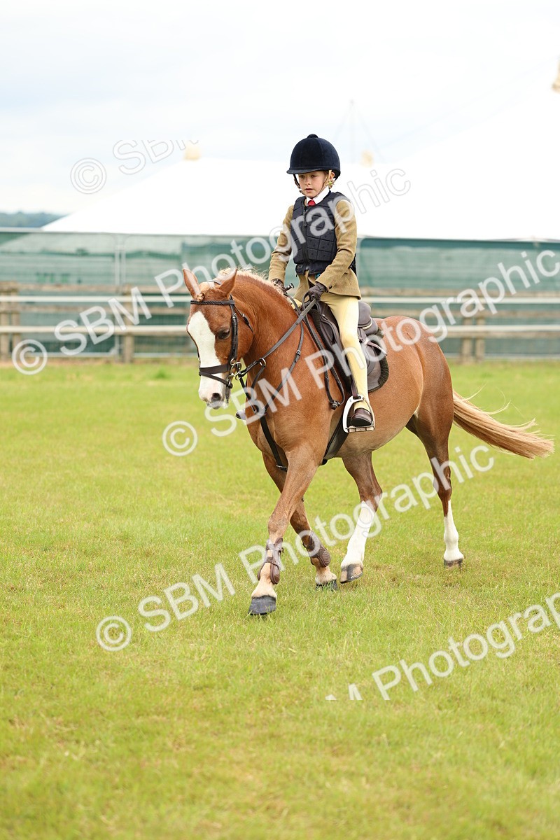 SBM_10246 - Class 44-45 - LIHS BSPS Open Nursery and Cradle Stakes