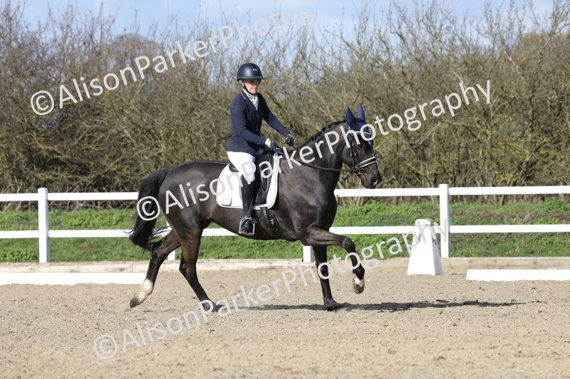 20260314-4974 - CT6 - Elementary 1